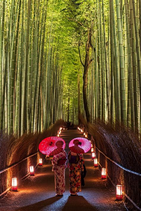 planetsuzy bamboo
